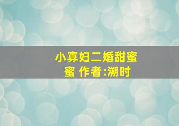 小寡妇二婚甜蜜蜜 作者:溯时